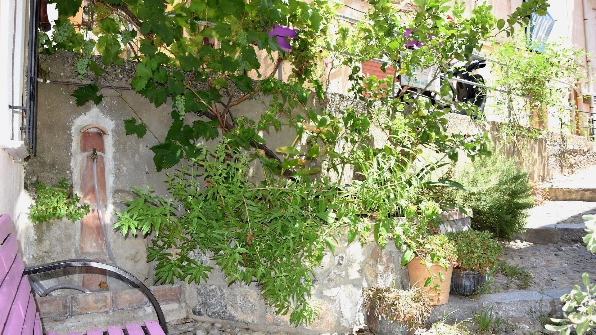 La Casa Del Geko Bed & Breakfast Cefalu Italy